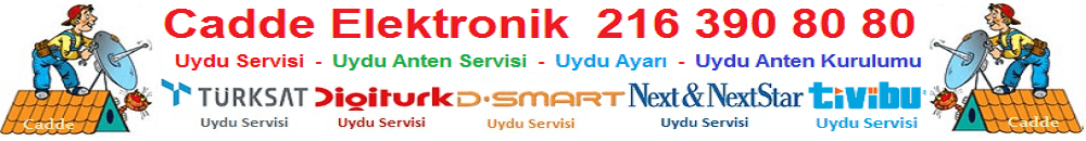 Kartal Uydu Servisi 0216 390 80 80