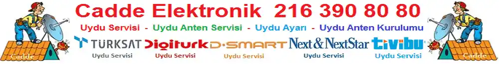 Küçükyalı Uydu Çanak Anten Servisi