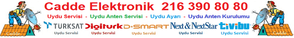 Uydu Servisi,Çanak,Anten,Tv Kurulumu 0216 390 80 80